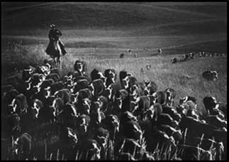 last cattle drive